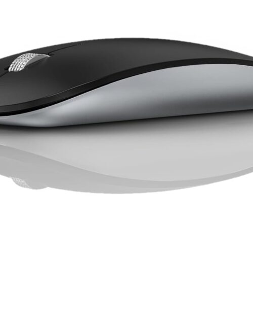 Offbeat - Atom Dual Bluetooth 5.1+5.1