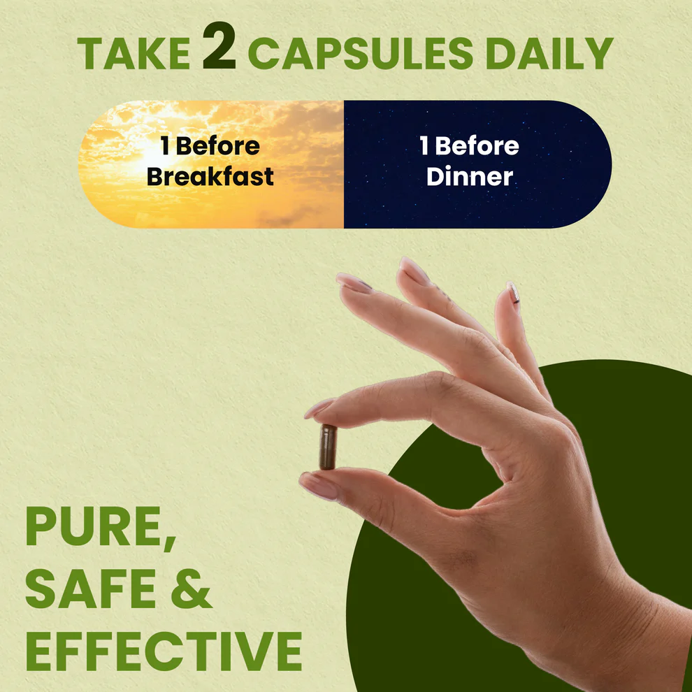 Ashwagandha and Probiotics Supplements for Digestion - Image 3